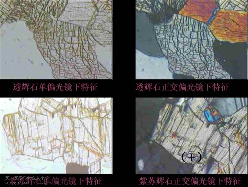 照片名称:透辉石单偏光镜下特征   照片名称:普通角闪石单偏光镜