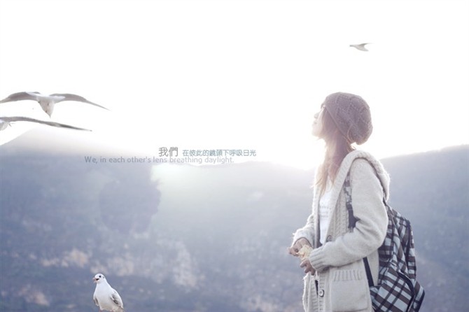 红尘若梦,彼岸花凋零 图片